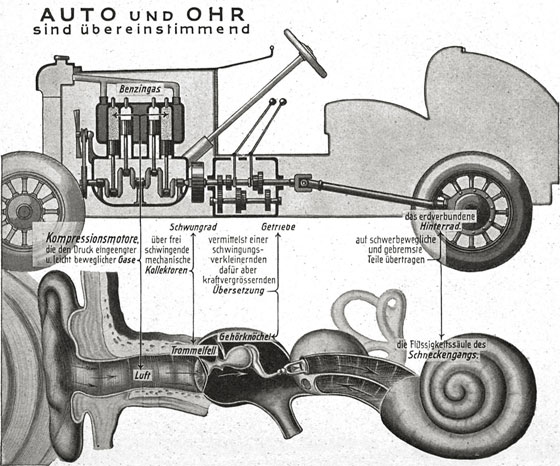 Auto und Ohr