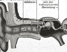 Auto und Ohr