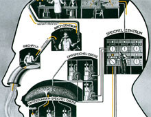 The biology of smelling a roast